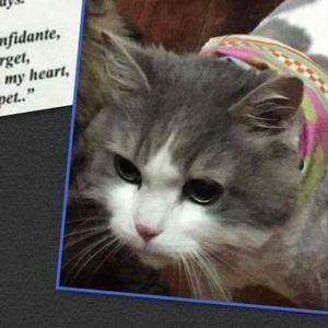 Meet your Posher, Justin